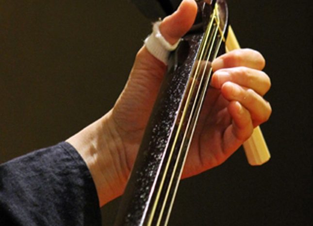 The left hand pressing the strings